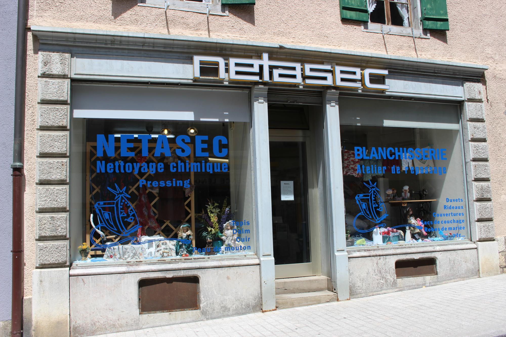 Netasec Edelweiss Fernandes Viana logo