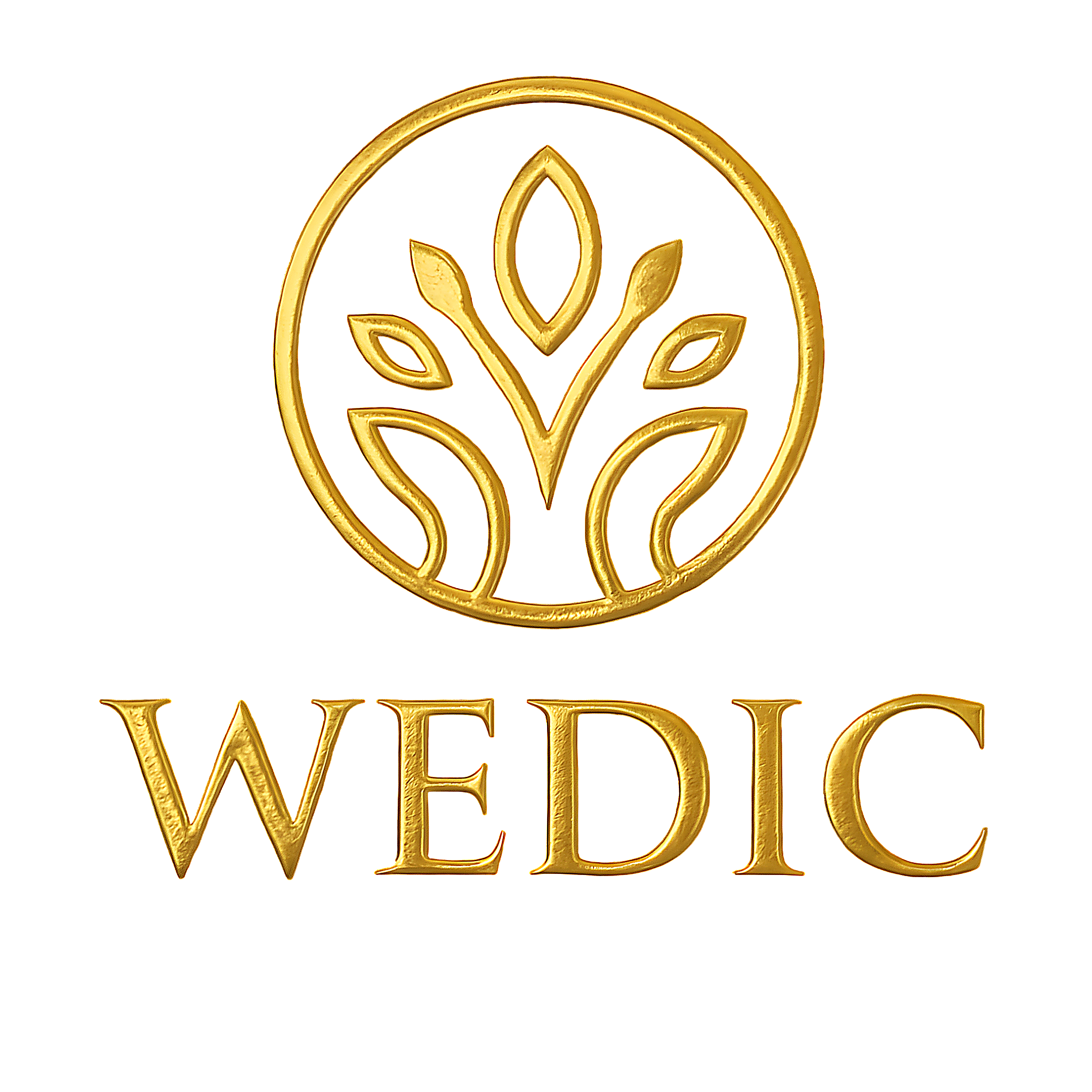 Logo WEDIC Switzerland