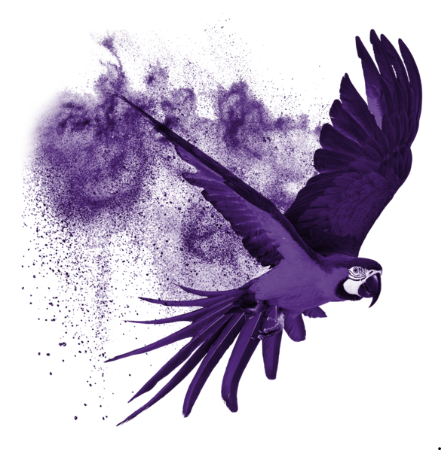SP Pub SA logo