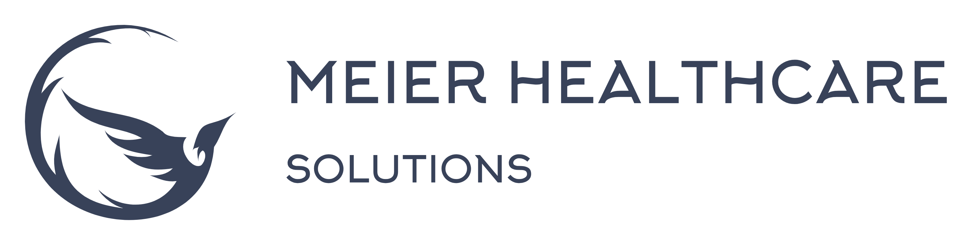 Logo Meier Healthcare