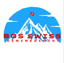 BGS SWISS DEMENAGEMENT Sàrl-Logo