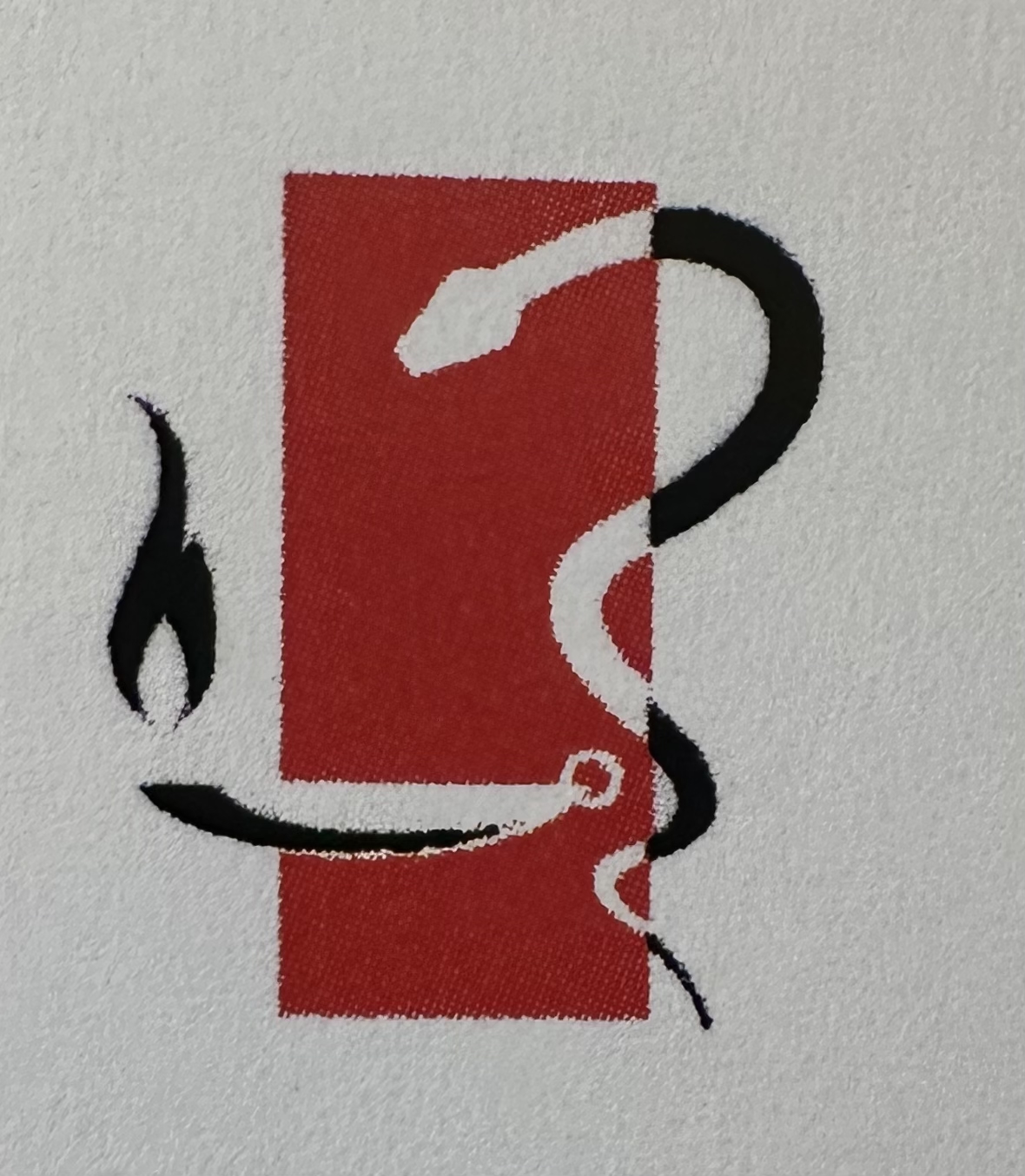 Baumann Nicolas-Logo