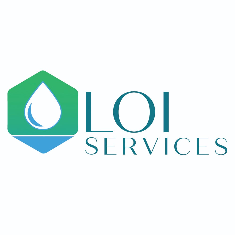 Logo Loi Services