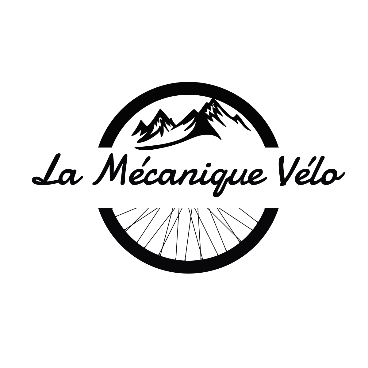 La Mécanique Vélo Sàrl-Logo