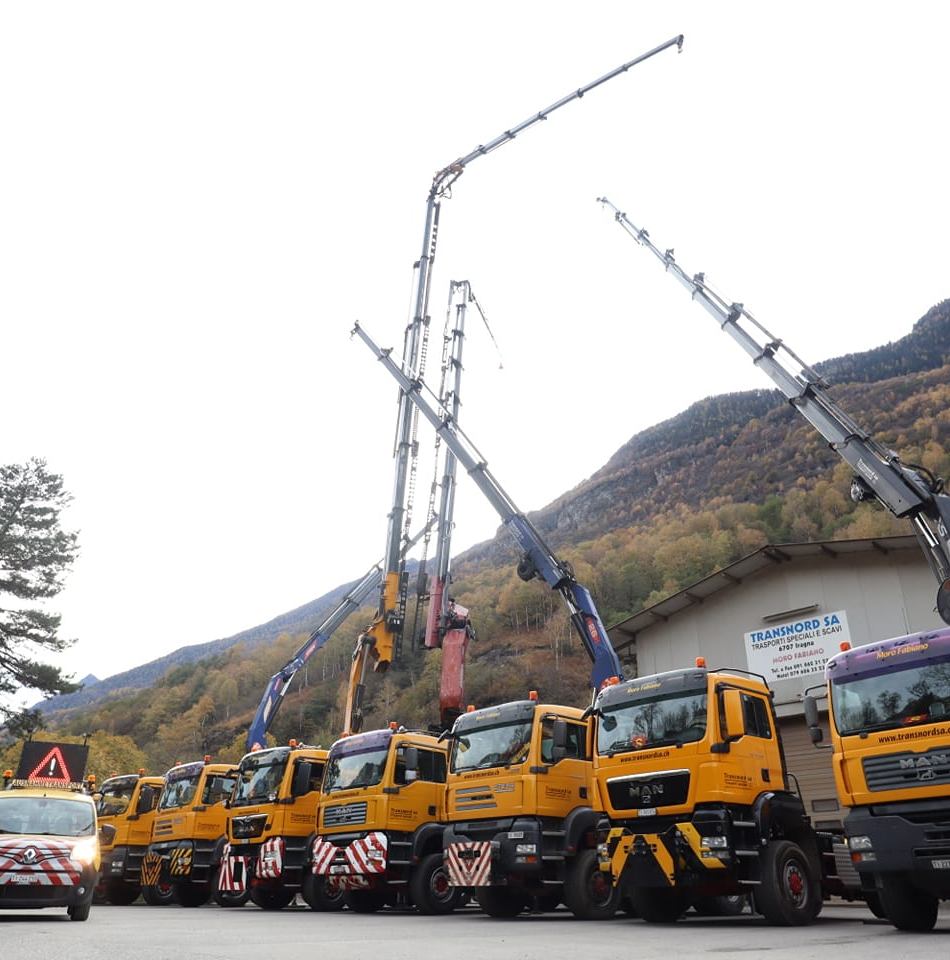 Transnord Trasporti e Scavi SA-Logo