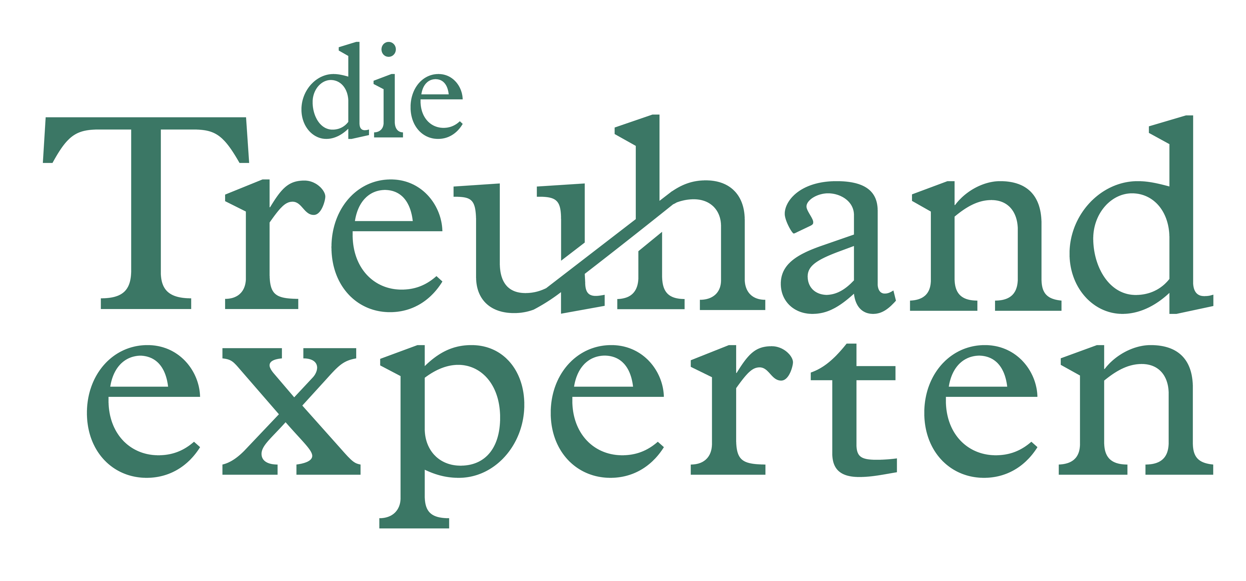 die Treuhand Experten ag-Logo