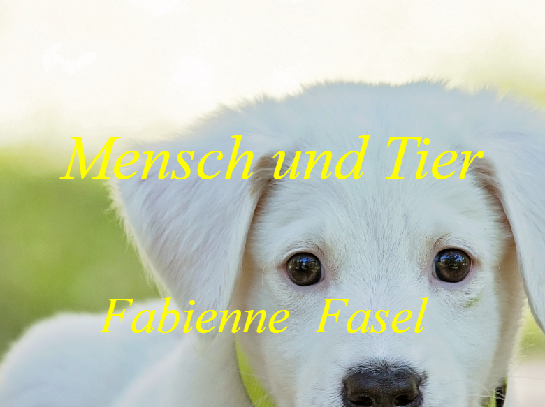 Logo Fabienne Fasel