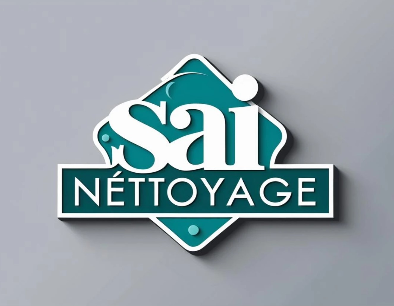Sai Nettoyage-Logo