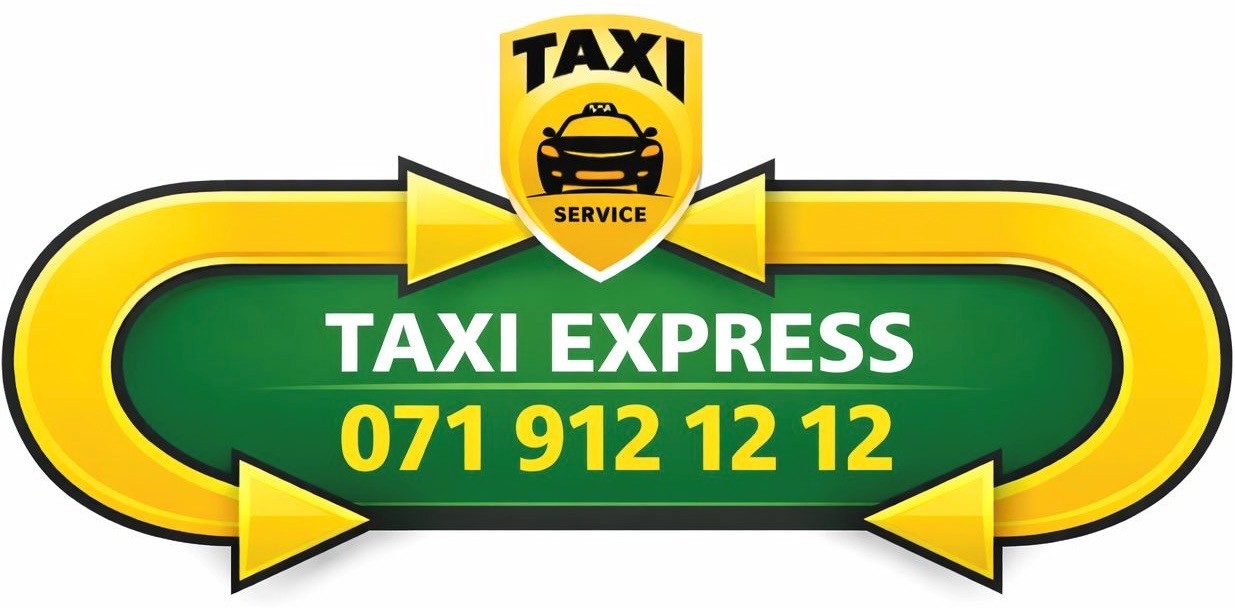 TE Express Taxi logo