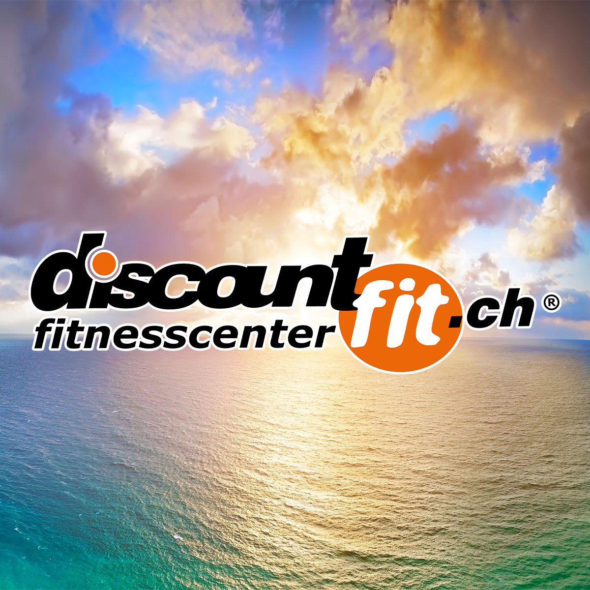 discountfit fitness / gym logo
