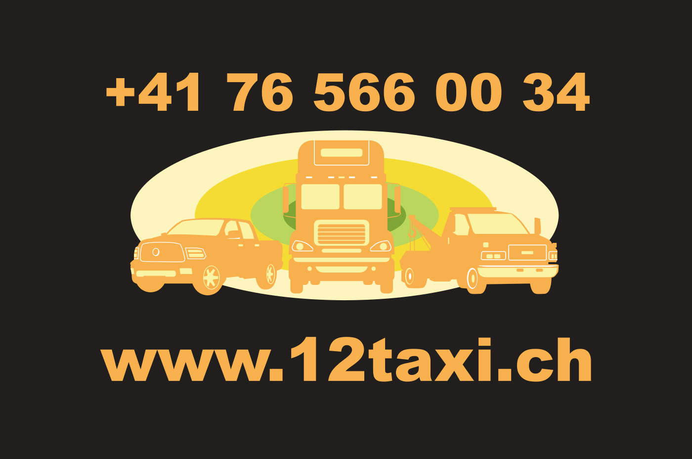 www.12taxi.ch Sommer logo