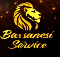 Bassanesi SERVICE-Logo