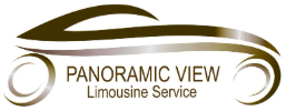 Panoramic View GmbH logo