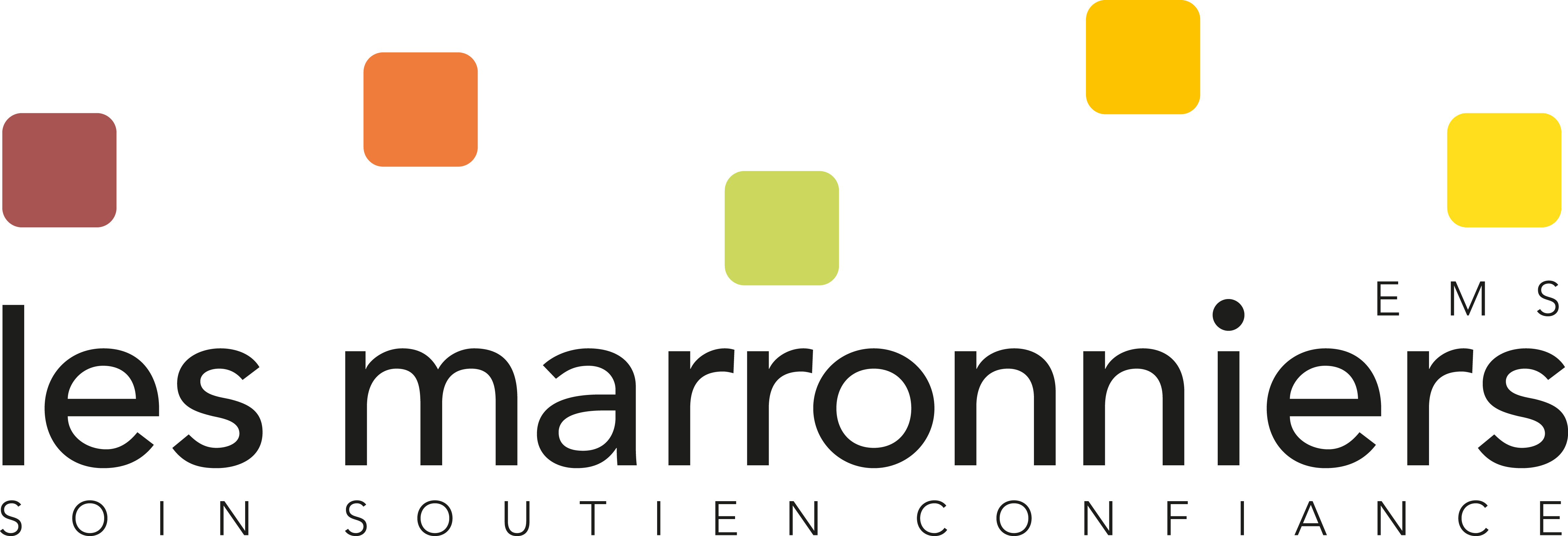 EMS Les Marronniers-Logo
