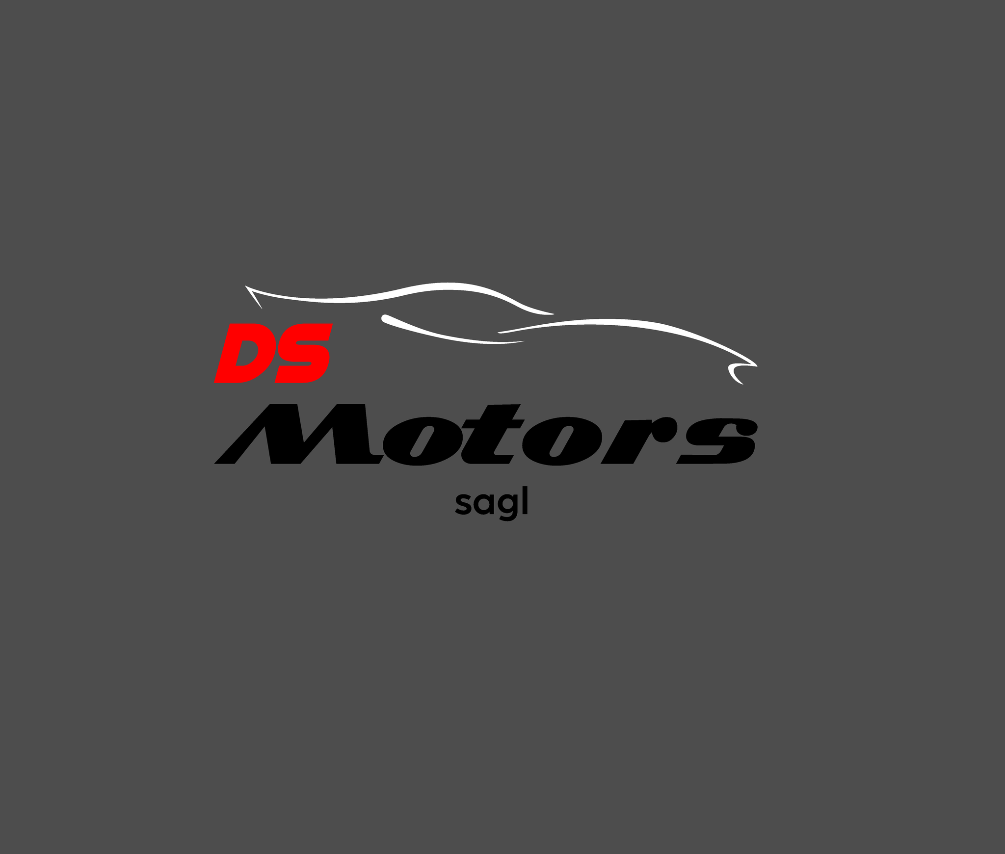 DS Motors & Pneumarket Sagl logo