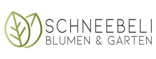Schneebeli Blumen & Garten-Logo