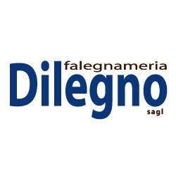 Dilegno Sagl-Logo