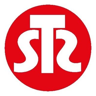 Steinhauser Steinhauer Basel-Logo