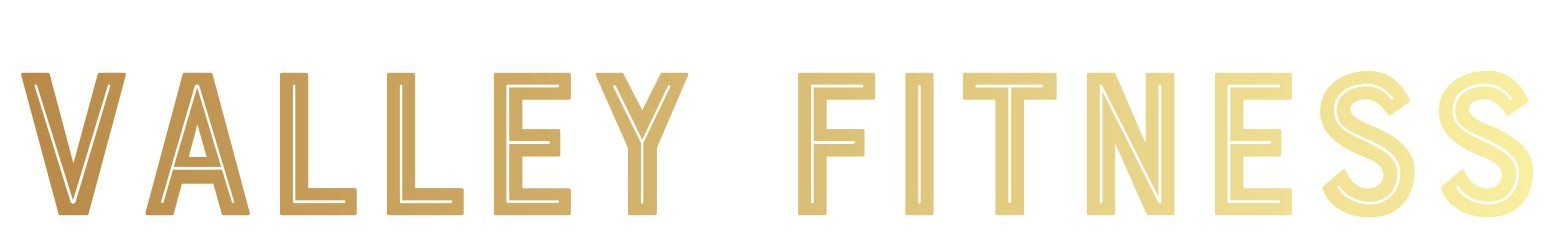 Logo Valley Fitness GmbH