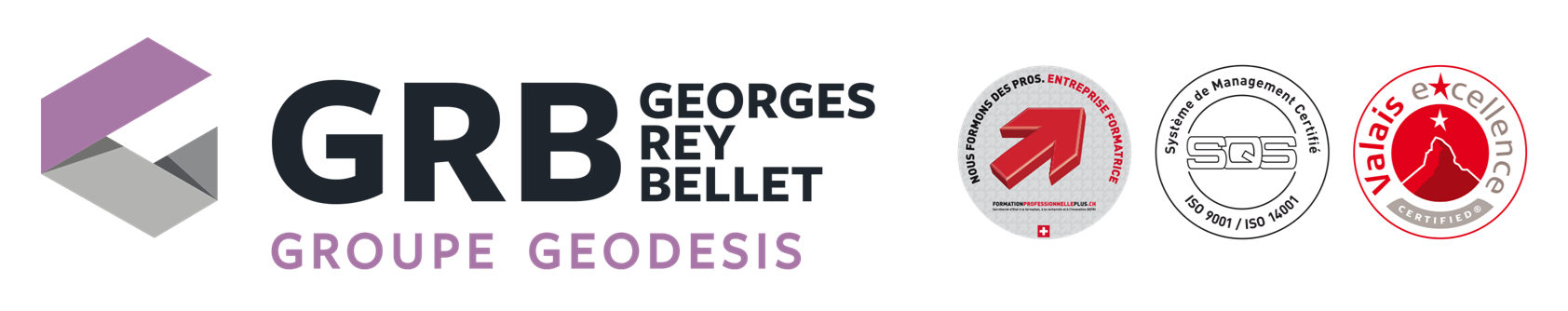 Rey-Bellet Georges SA logo