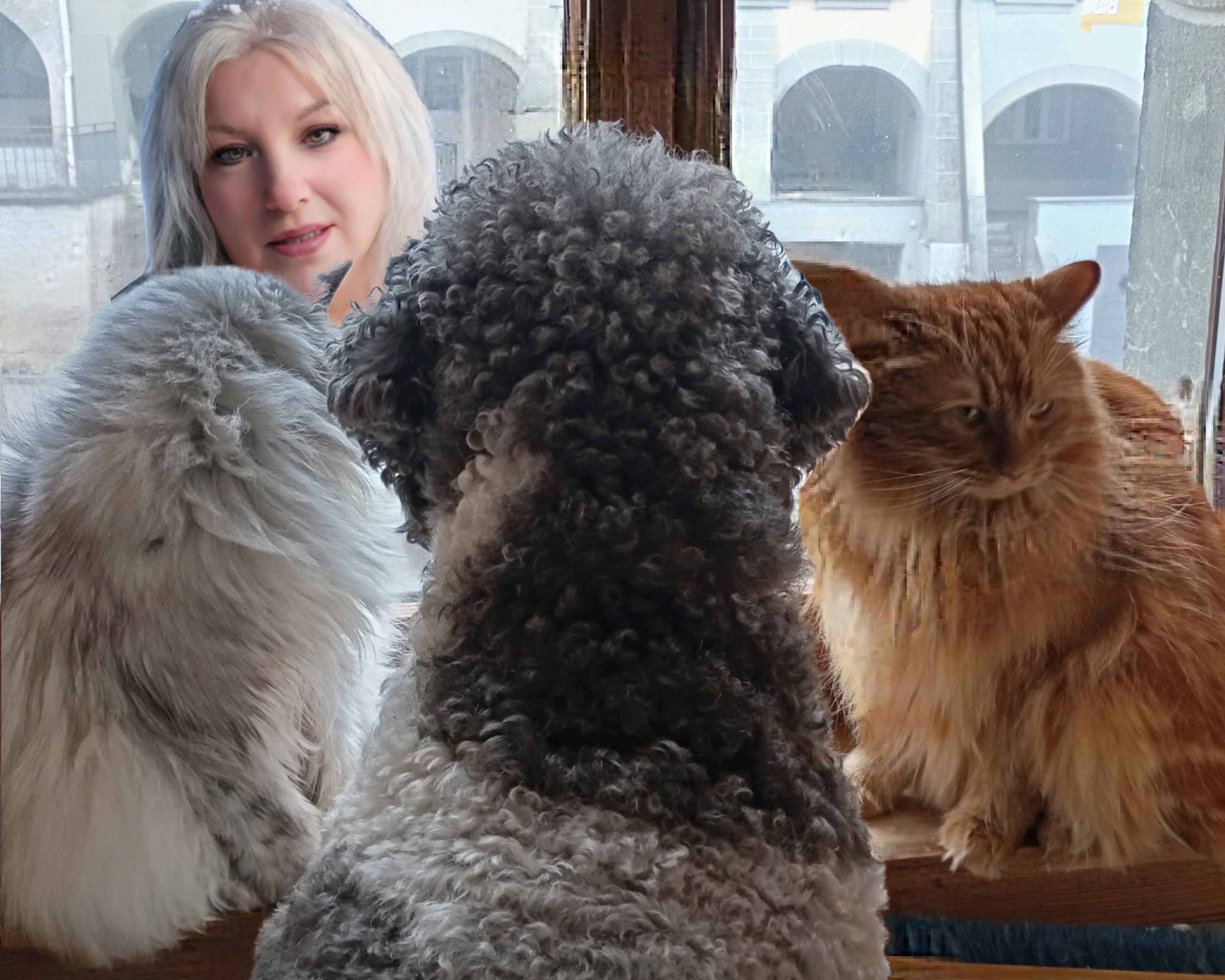 Aux petits soins de nos Chiens & Chats logo