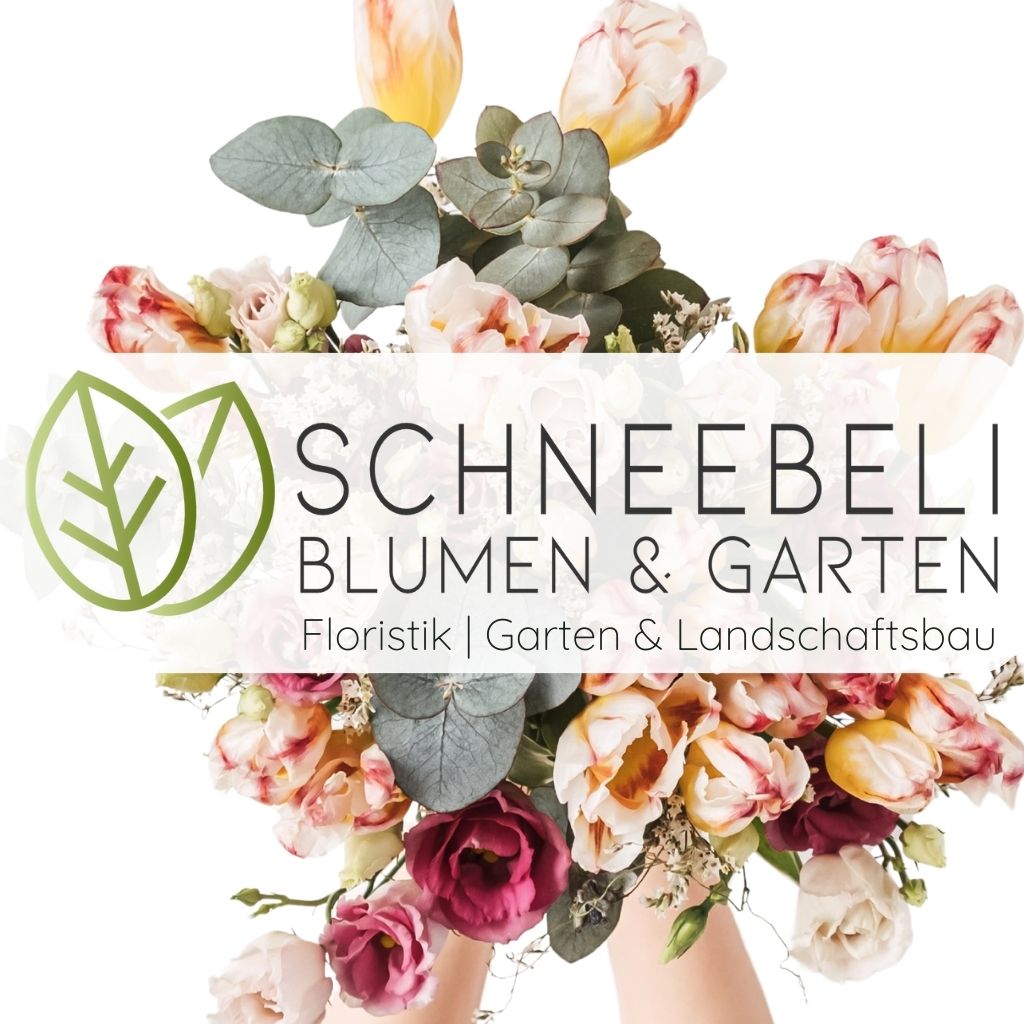 Schneebeli Blumen & Garten-Logo