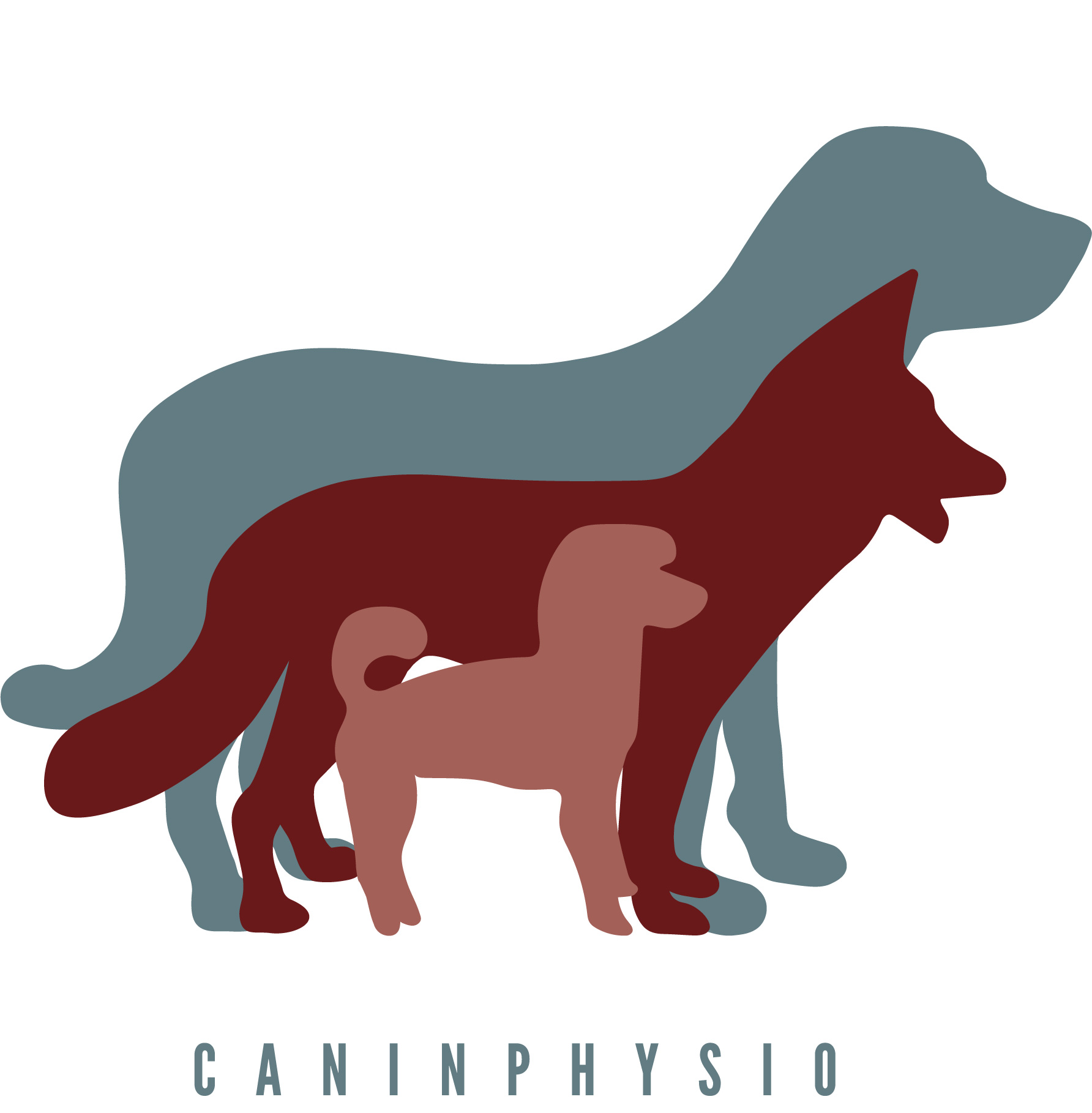 Caninphysio-Logo