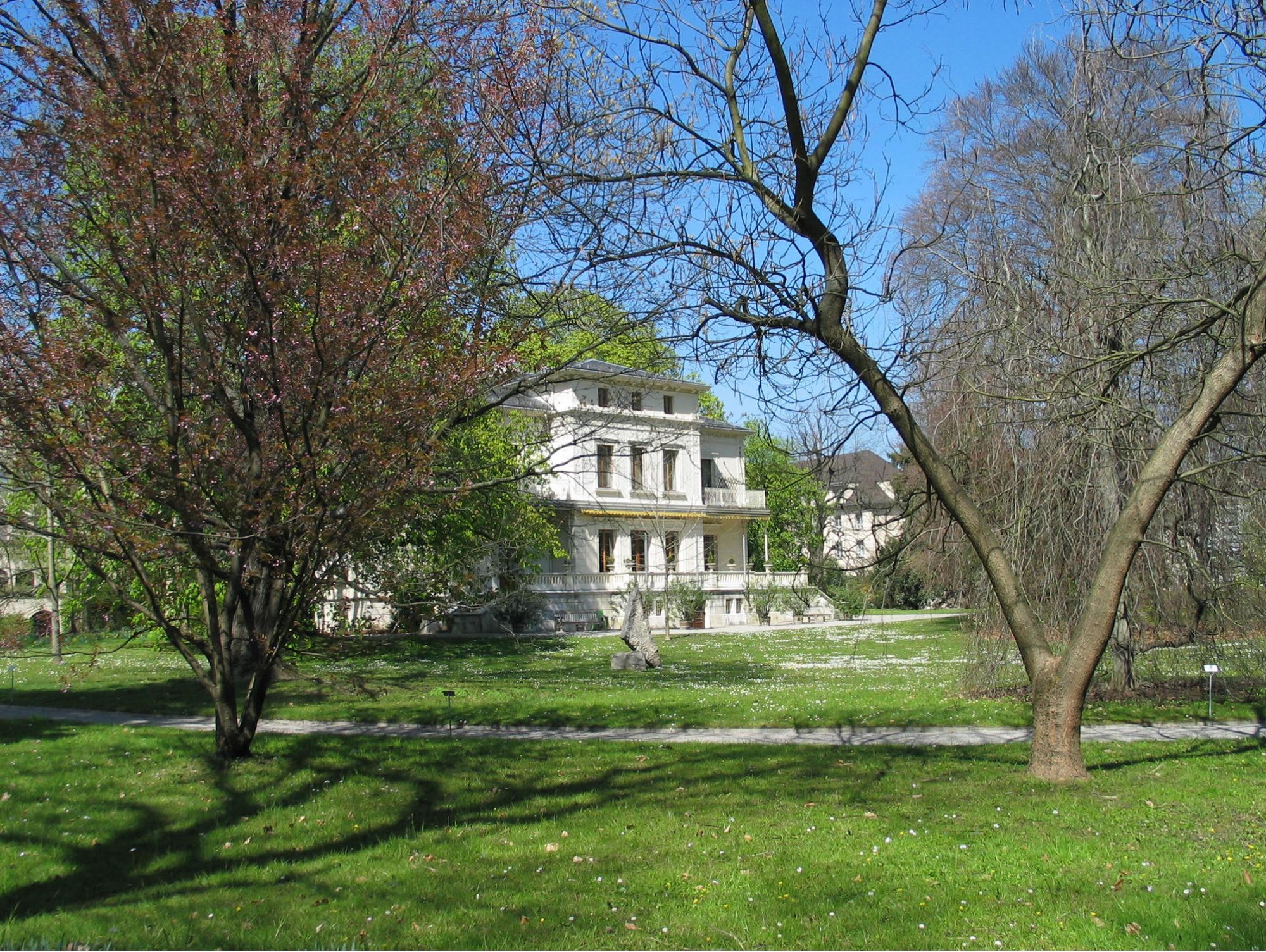 Dermatologie Hirzbrunnen logo