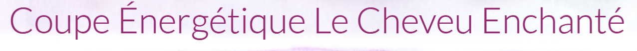 Logo Le Cheveu Enchanté