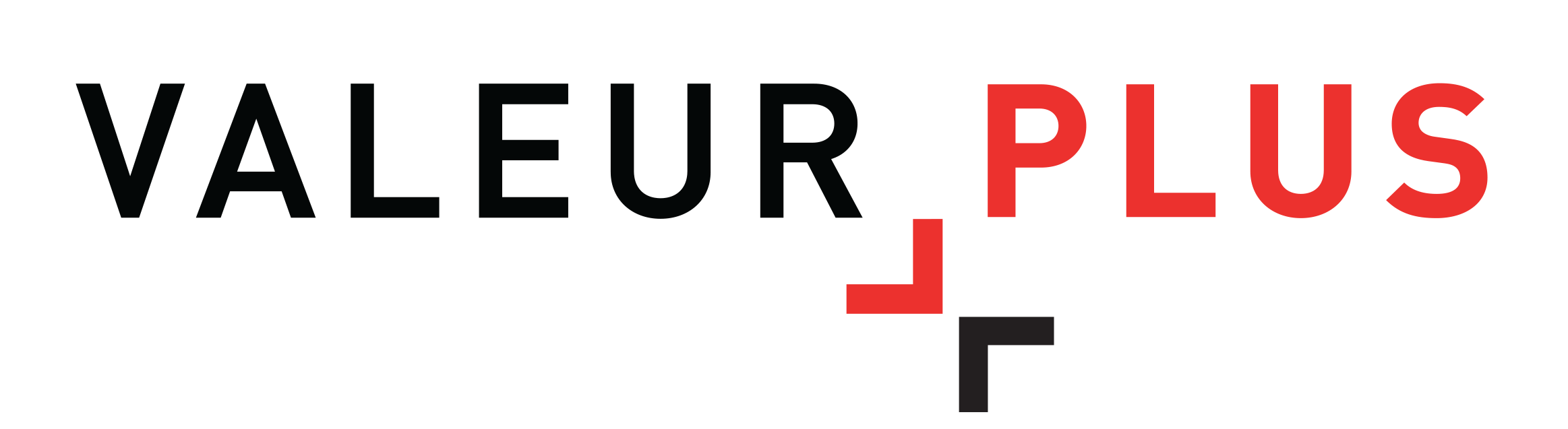 Logo VALEUR PLUS SA