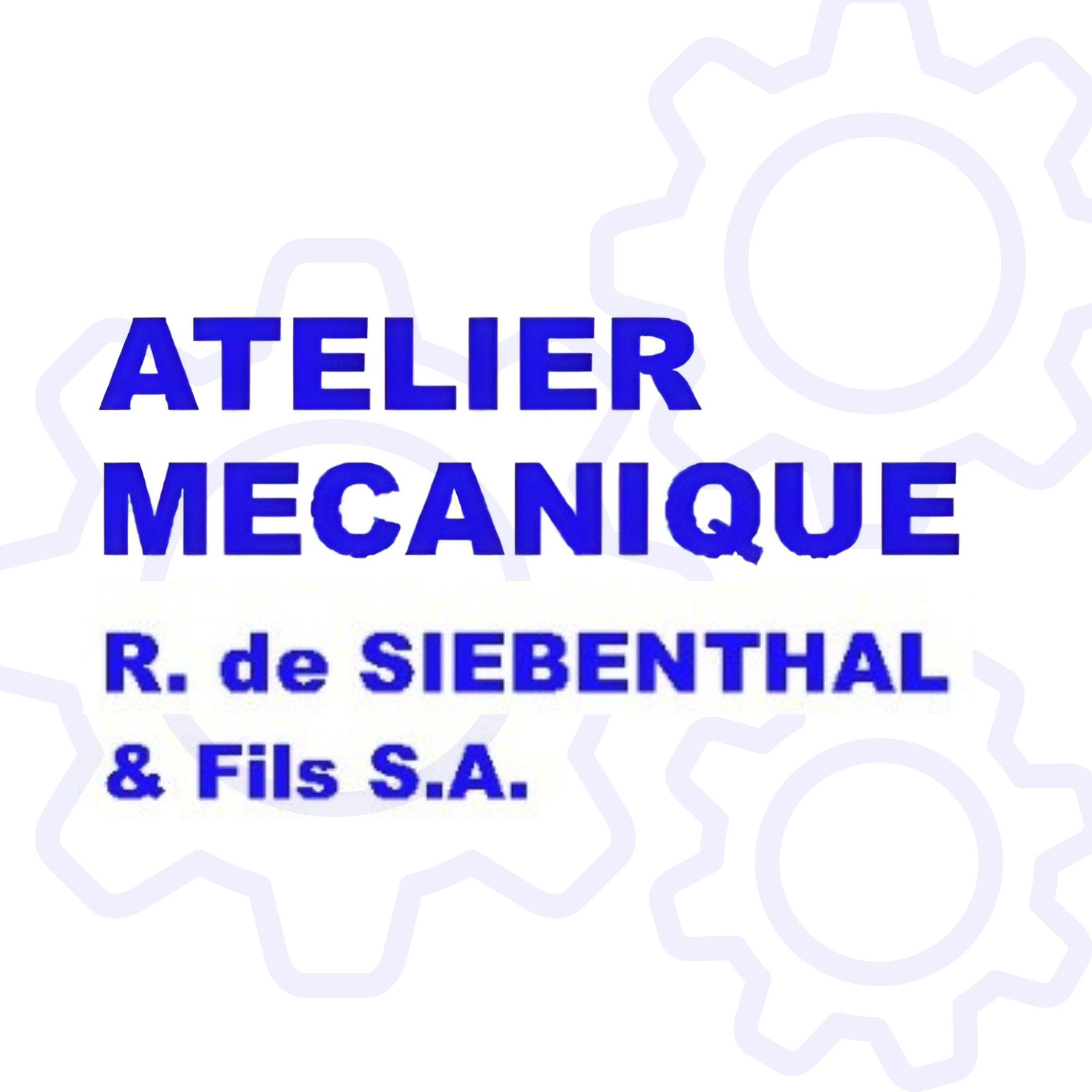 de Siebenthal René & fils SA logo