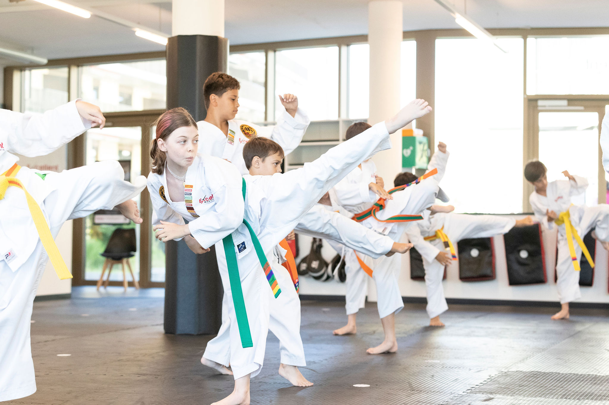 Logo Excellent Martial Arts GmbH