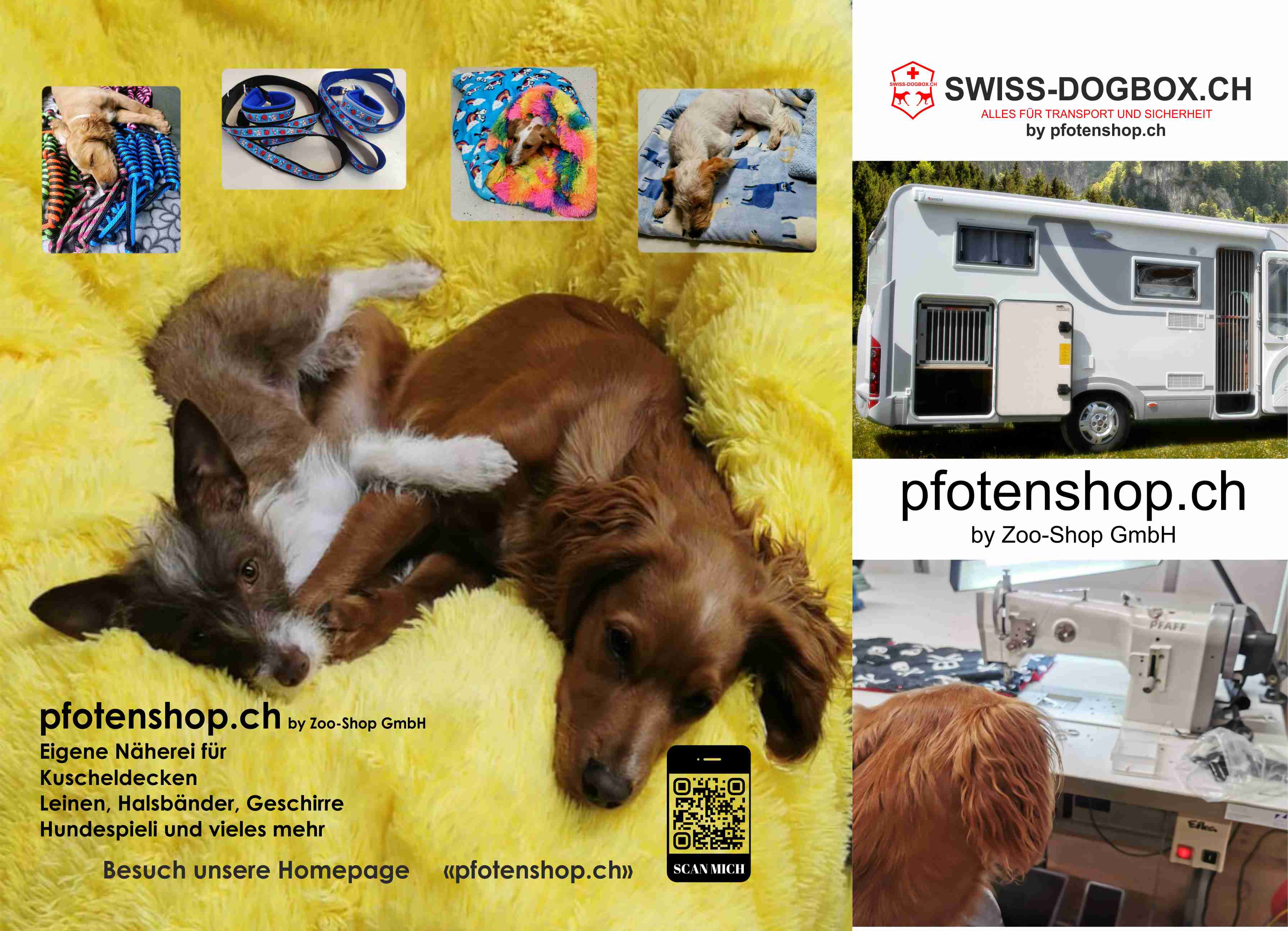 Zoo-Shop GmbH & Swissdogbox.ch-Logo