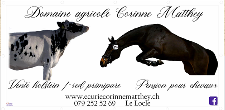 Logo Matthey Corinne